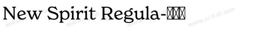 New Spirit Regula字体转换